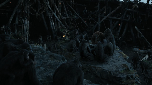 File:Caesar's Ape Council.png
