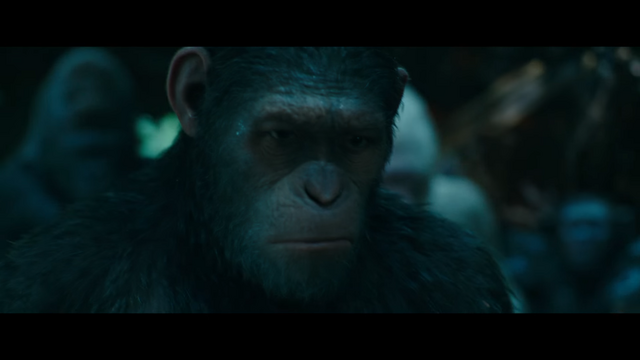 File:WPOTA Caesar's Sorrow.png