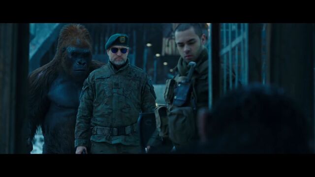 File:WPOA Donkey, The Colonel, and Preacher opening Caesar's cage.jpg