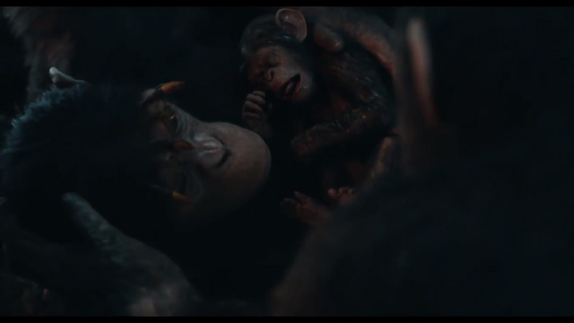 File:Infant's birth 2.png