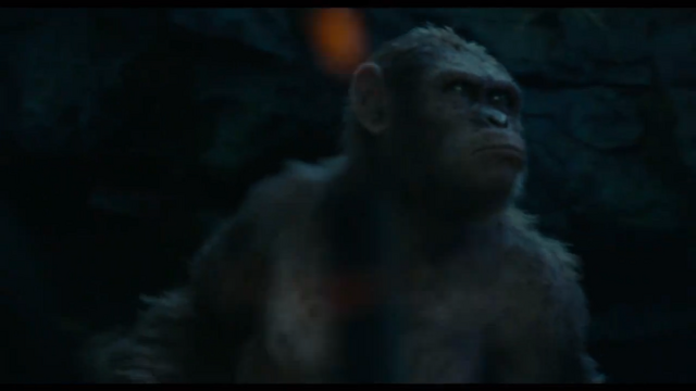 File:Stone, one of Koba's follower.png