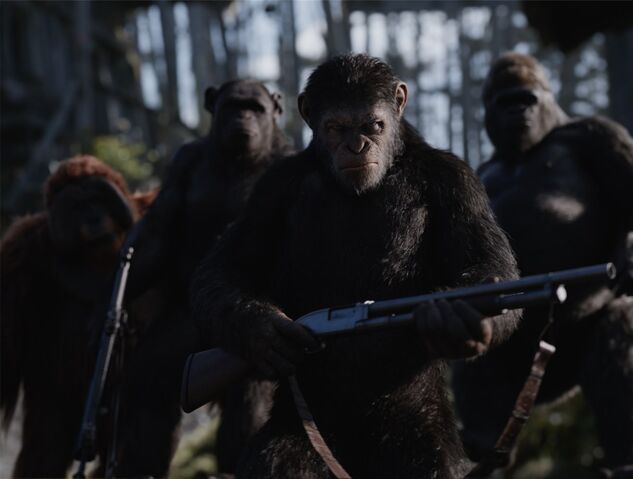 File:WPOTA Caesar, Maurice, Rocket & Luca CU.jpg
