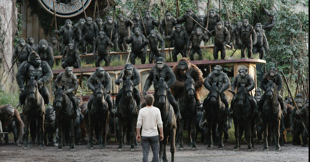 File:Luca, Grey, Rocket, Koba, Caesar, Maurice, Stone, Ash & Blue Eyes on horseback.jpg