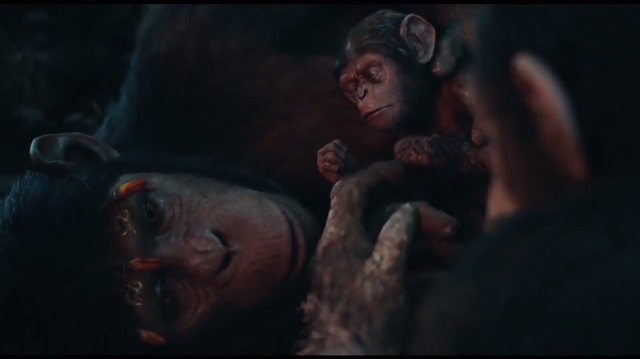 File:Infant's birth 3.png