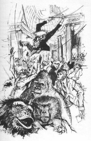 File:71singes19.jpg