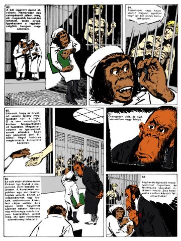 File:81singes14.jpg