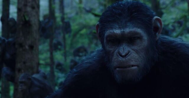 File:Dawn-planet-apes.jpg