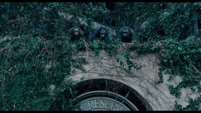 File:Koba & 2 Chimpanzees.png