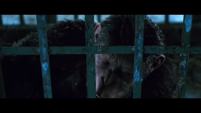 File:WPOTA Caesar dehydrated.png