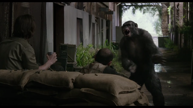 File:Koba amuses humans.png