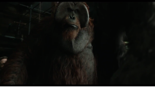 File:Maurice protects Malcolm & Alexander.png