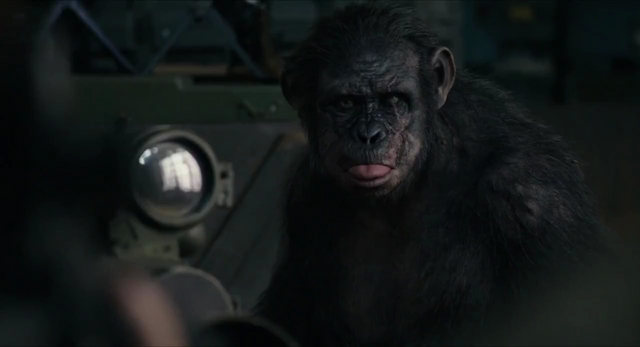 File:Koba throws raspberries at humans.png