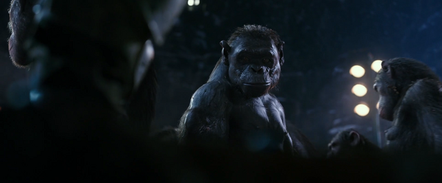 File:WPOTA an ape who looks like Stone.png
