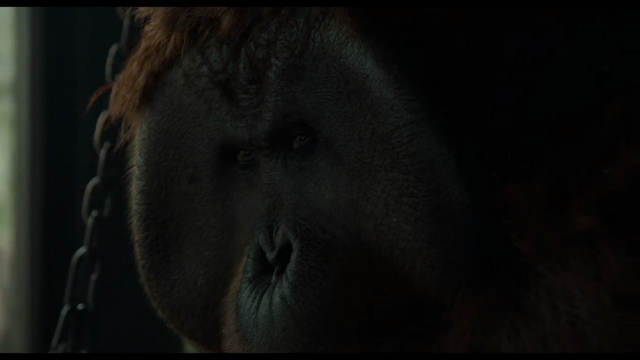 File:Maurice sees Caesar's sign.png