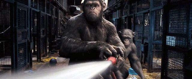 File:Cctrailer24.jpg