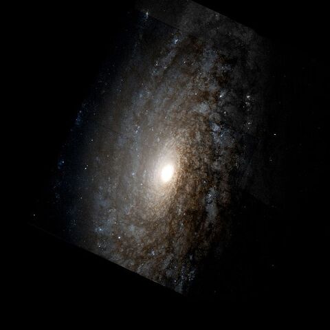 File:NGC 3521.jpg