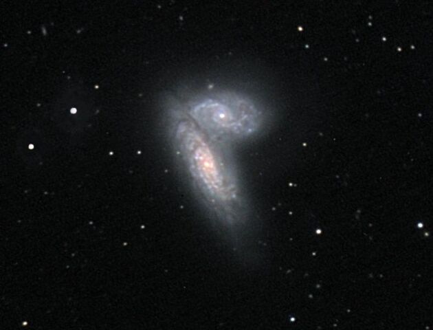 File:Siamese Twins.jpg