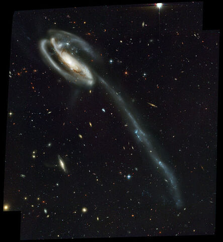 File:Tadpole Galaxy.jpg