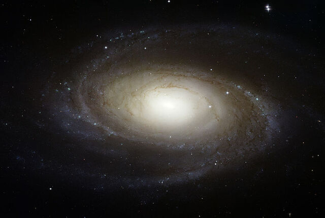 File:Bode's Galaxy.jpg