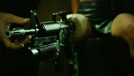 Bushmaster Carbine 2