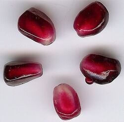Pomseeds2.jpg
