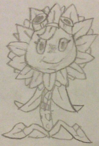 File:Solar Flare Sketch.jpeg
