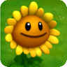 SunflowerA