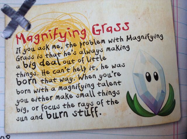 File:Magnifyinggrass.jpg