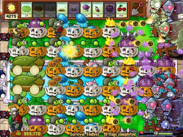 File:Survival Endless - 30 flag.jpg
