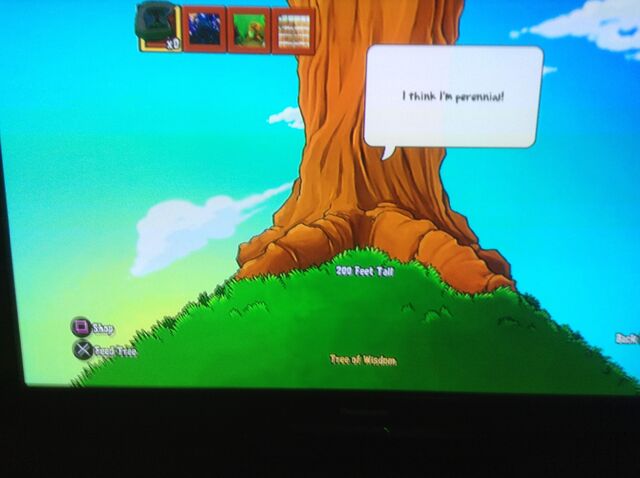 File:Tree without the leaves.jpg