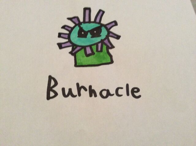 File:Ice ages plant, burnacle.jpeg