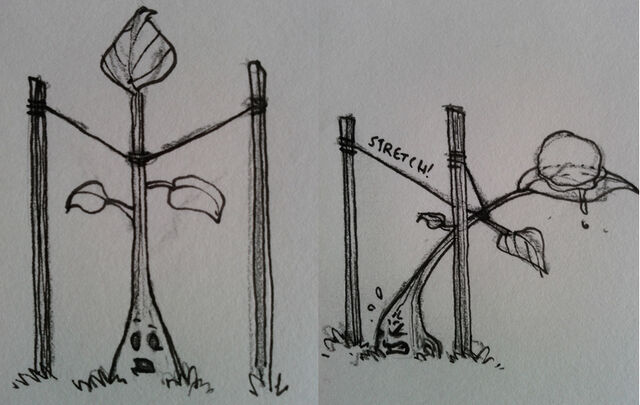File:Treeconcept2.jpg