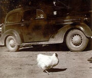 Mike with car jpg