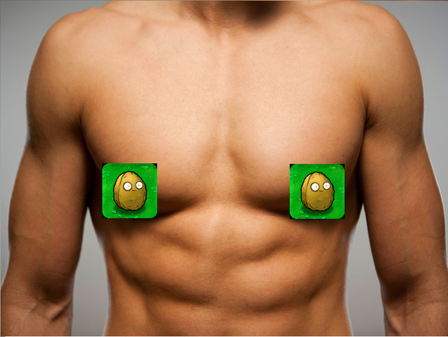File:Chestnut.png