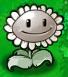 File:Imisunflower.jpg
