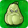 ApisonaflorPvz