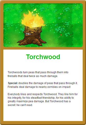 File:Torch Online.png