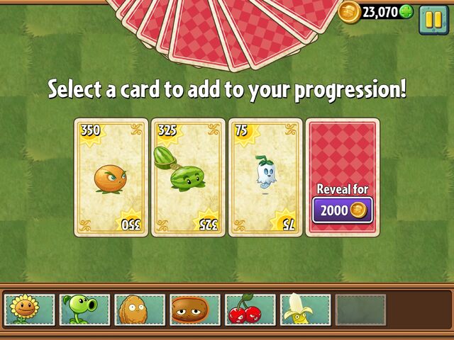 File:Iceboundcards.jpg