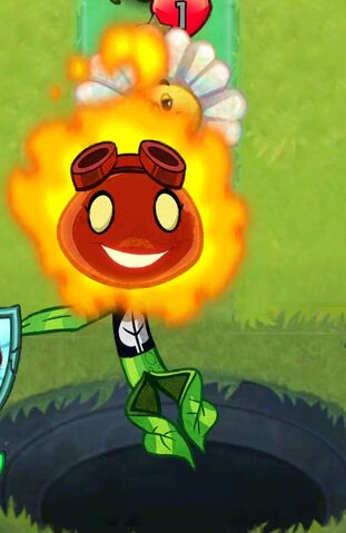 File:Solar Flare Pose.jpeg