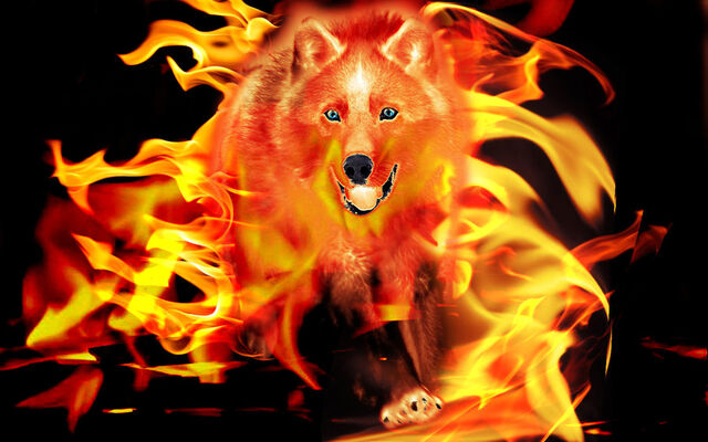 File:Flaming wolf by wolfsabymj-d4ptdb9.jpg
