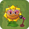 Sunflower Singer2
