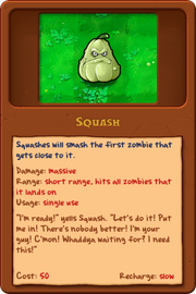 New Squash