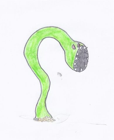 File:Scorchylla.jpeg