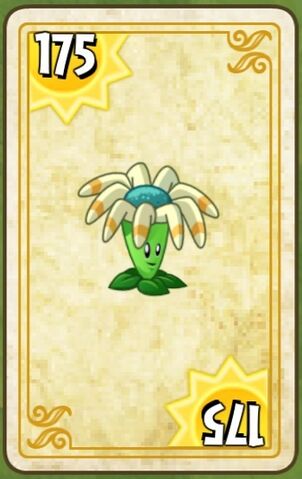 File:Bloomcard.jpg