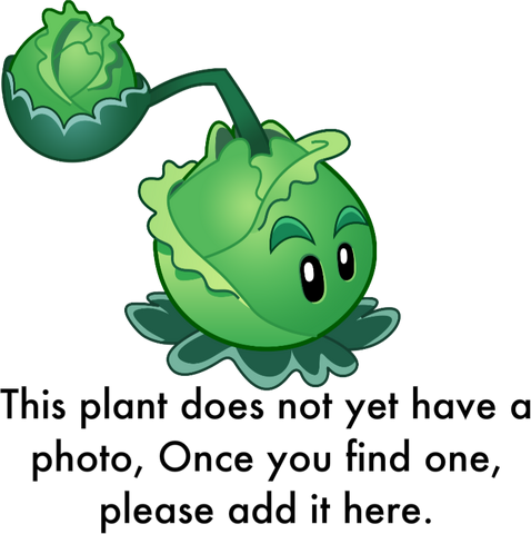 File:NoPhotoPlant.png