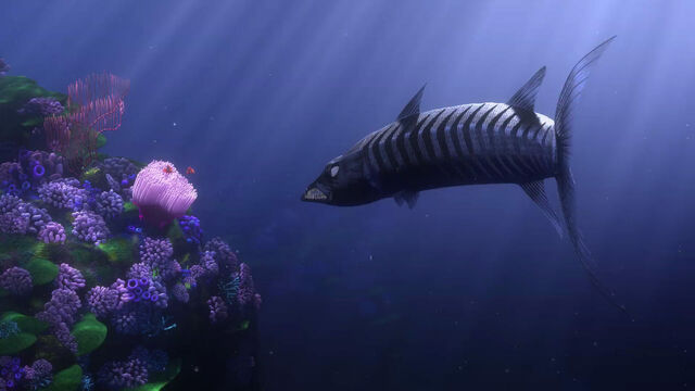 File:Barracuda.jpg