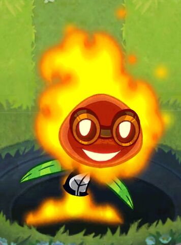 File:Solar Flare appearing.jpeg