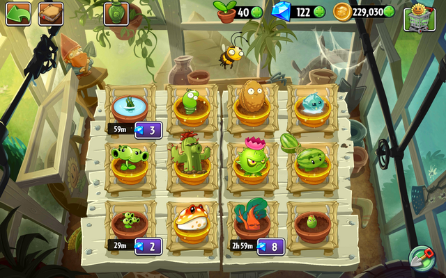 File:CactusinGarden.png