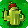 Cactus2