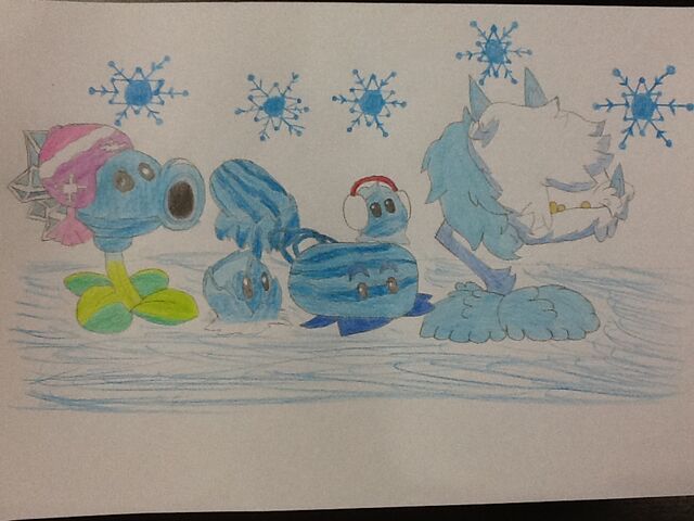 File:IcePlantInSnowyBackground.jpeg